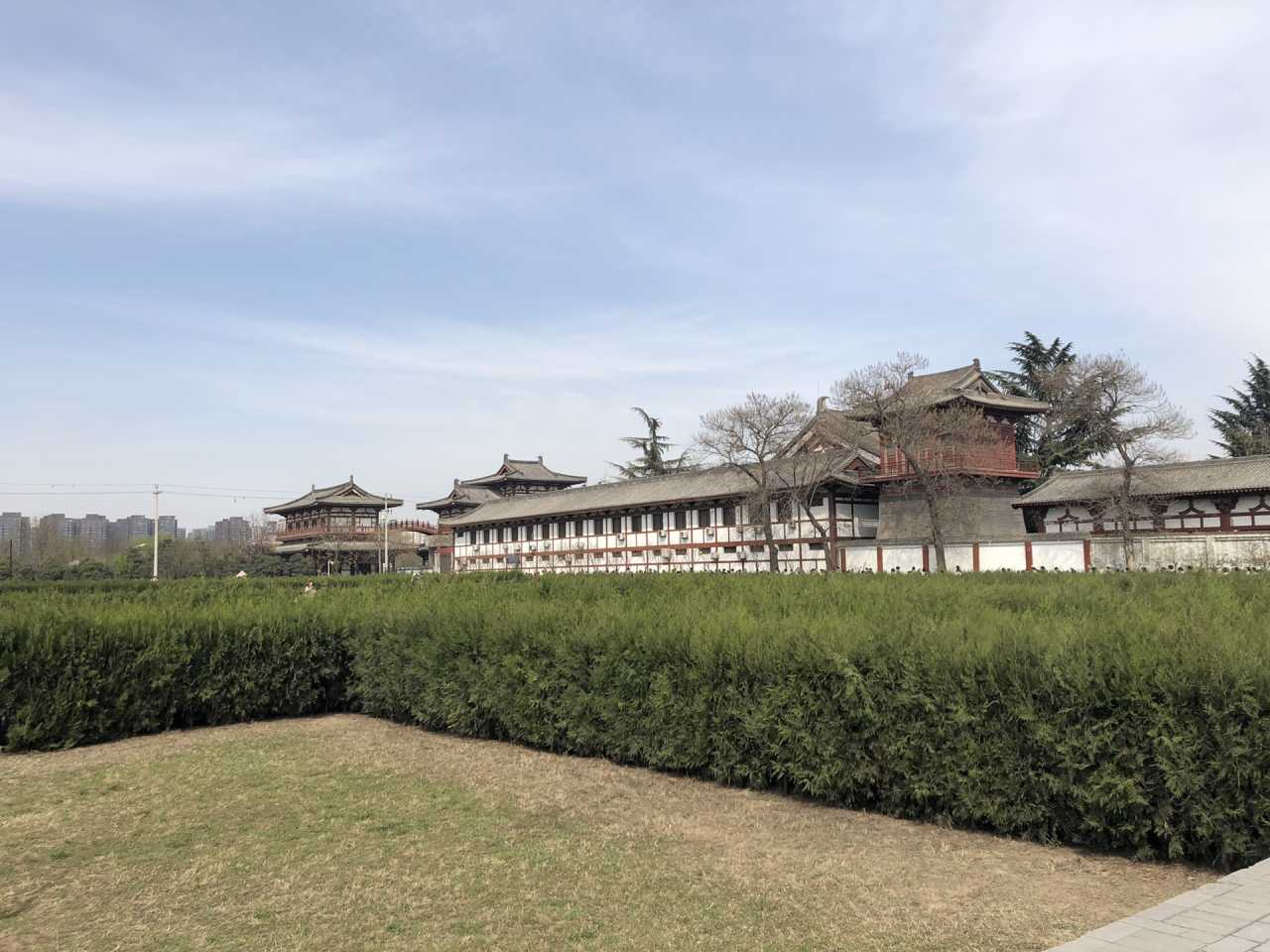 青龙寺樱花大赏 春季游西安必打卡大唐青龙寺