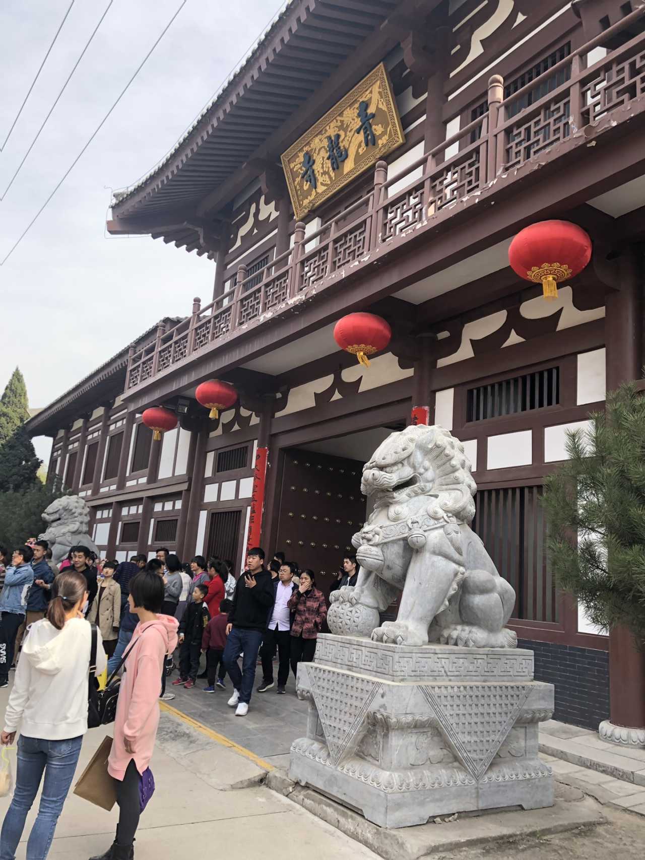 青龙寺樱花大赏 春季游西安必打卡大唐青龙寺