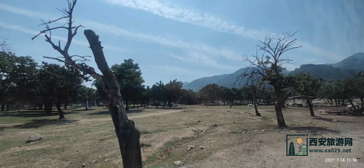 深度打卡西安亲子游之秦岭野生动物园