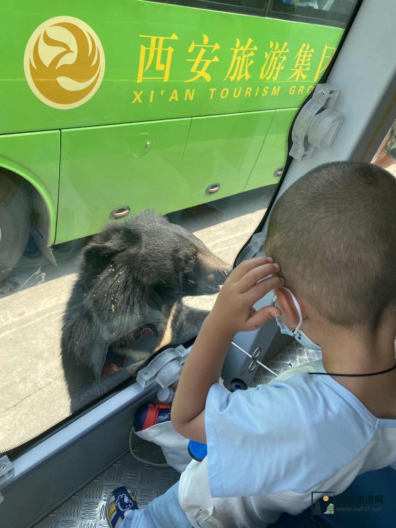 深度打卡西安亲子游之秦岭野生动物园