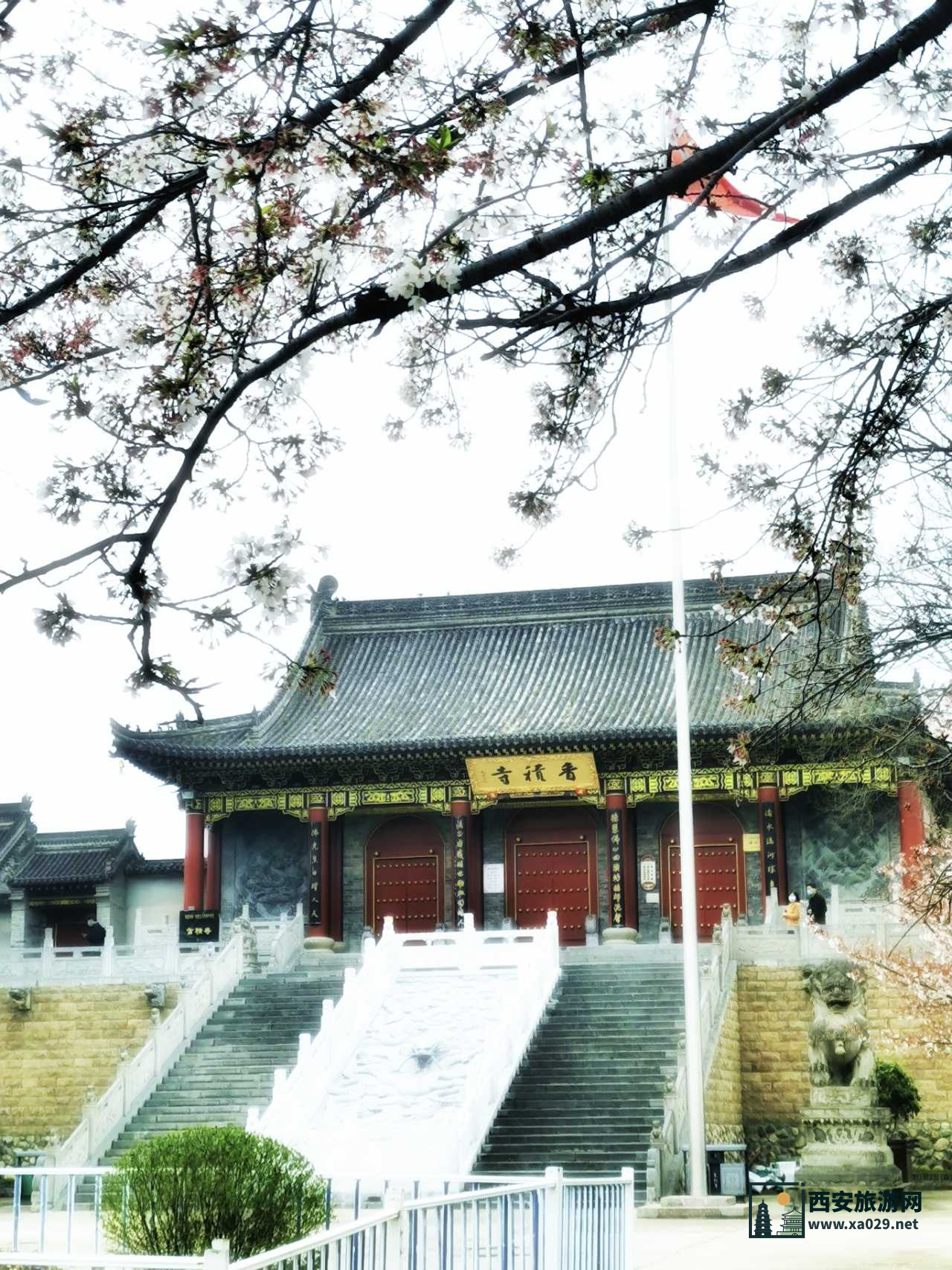 实拍打卡长安香积寺