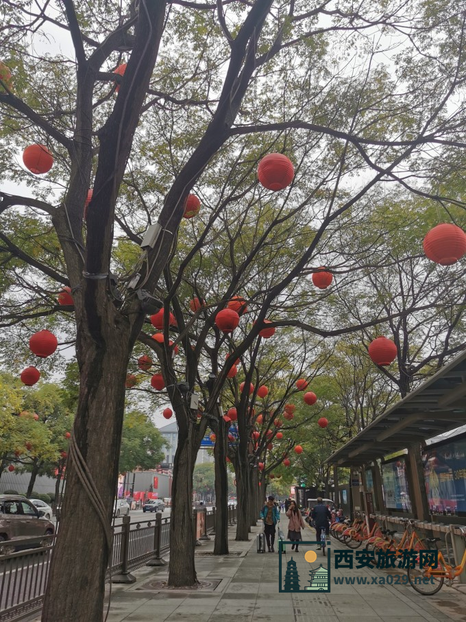 西安4天4晚游 城墙不夜城芙蓉园兵马俑华清池华山陕历博