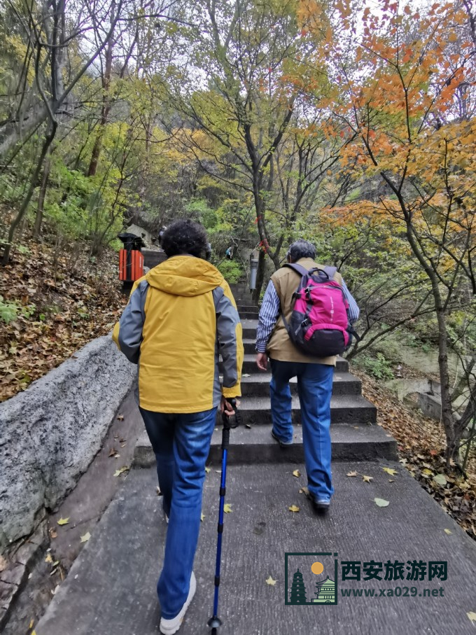 西安4天4晚游 城墙不夜城芙蓉园兵马俑华清池华山陕历博