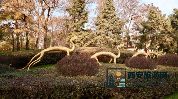 西安热门景点实拍打卡 大唐芙蓉园