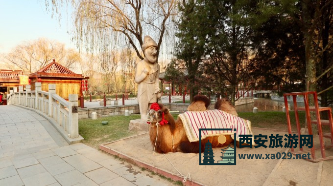 西安热门景点实拍打卡 大唐芙蓉园