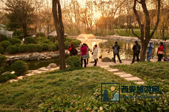 西安热门景点实拍打卡 大唐芙蓉园