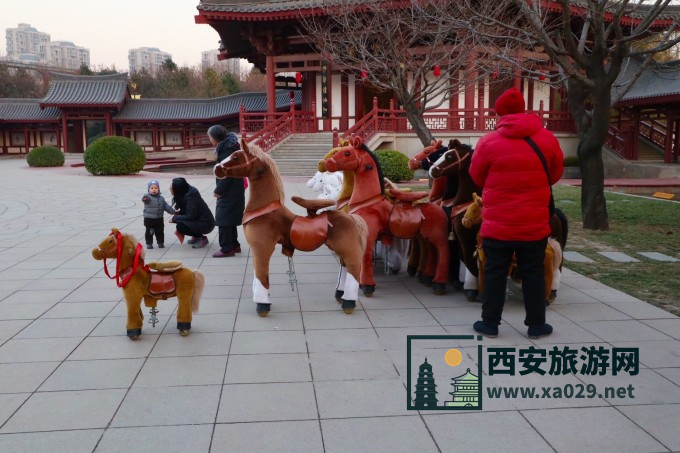 西安热门景点实拍打卡 大唐芙蓉园