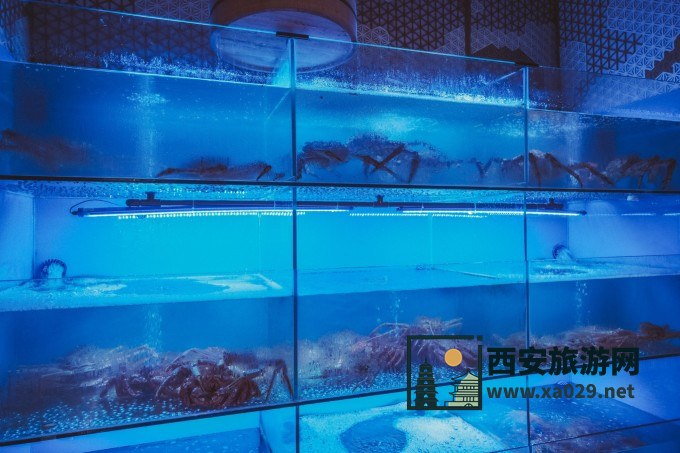 来西安不去景区 逛皇家园林打卡特色潮流街区