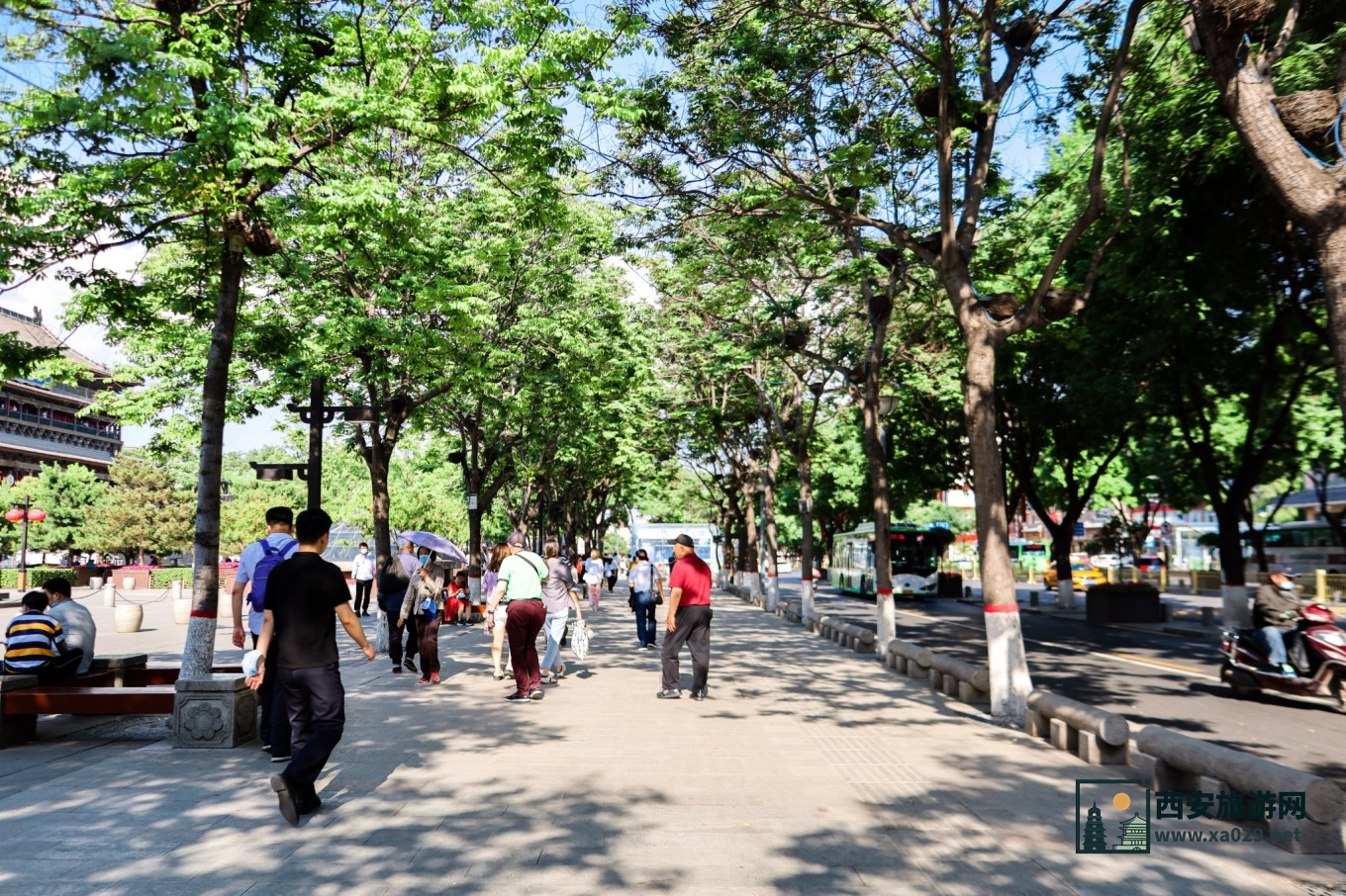 走进西安的光和影 5天时间拍遍西安每一处风景 附拍摄指南