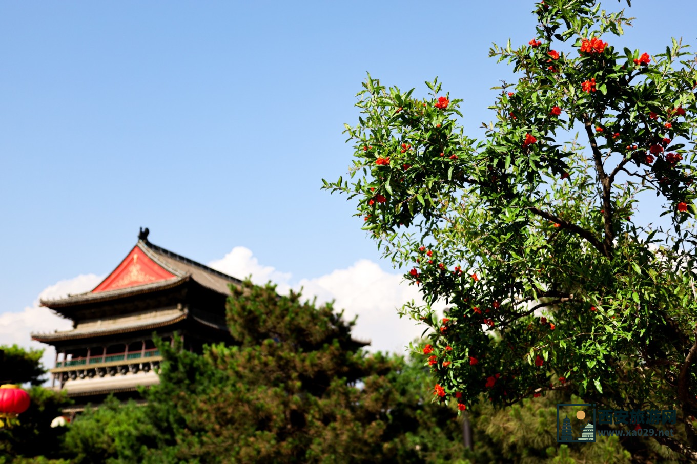 走进西安的光和影 5天时间拍遍西安每一处风景 附拍摄指南