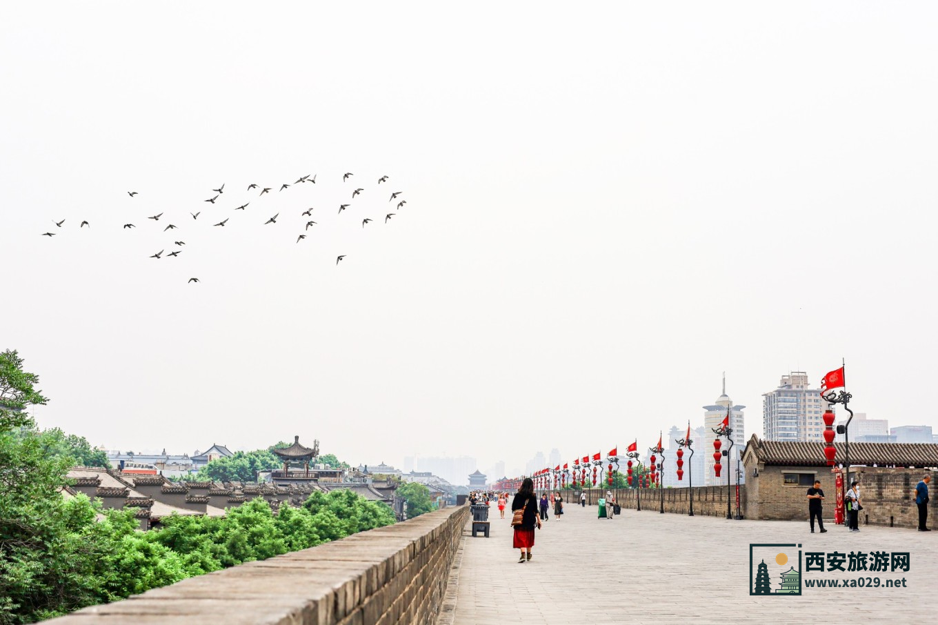 走进西安的光和影 5天时间拍遍西安每一处风景 附拍摄指南