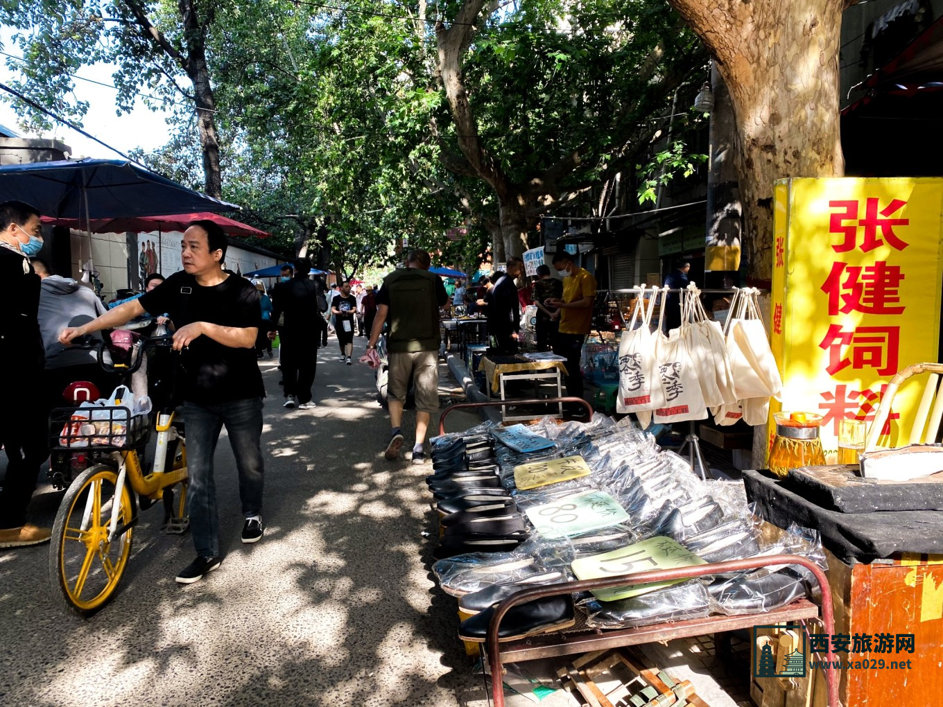 走进西安的光和影 5天时间拍遍西安每一处风景 附拍摄指南