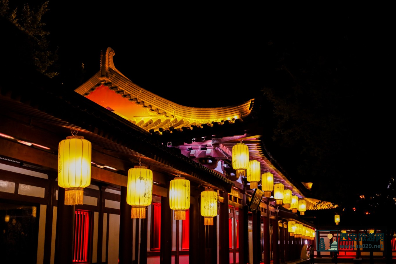 走进西安的光和影 5天时间拍遍西安每一处风景 附拍摄指南