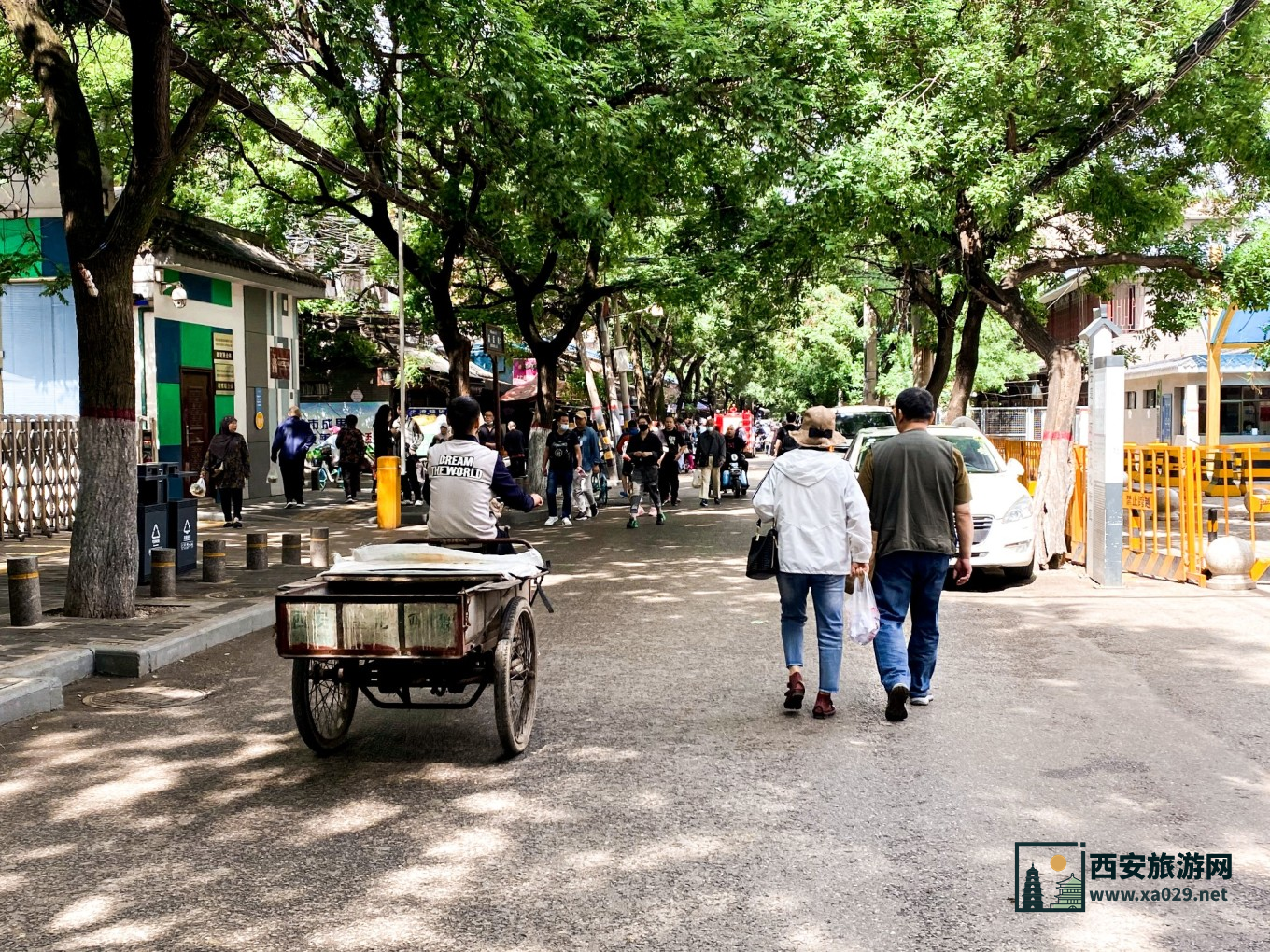 走进西安的光和影 5天时间拍遍西安每一处风景 附拍摄指南