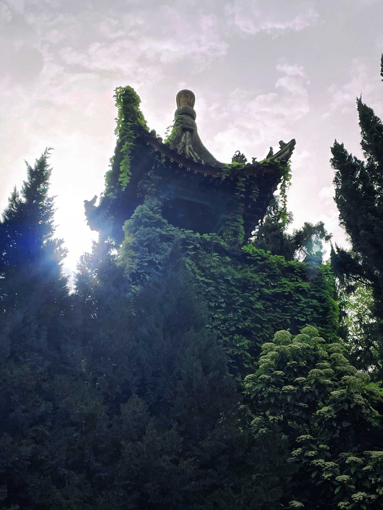网友实拍打卡：华清池