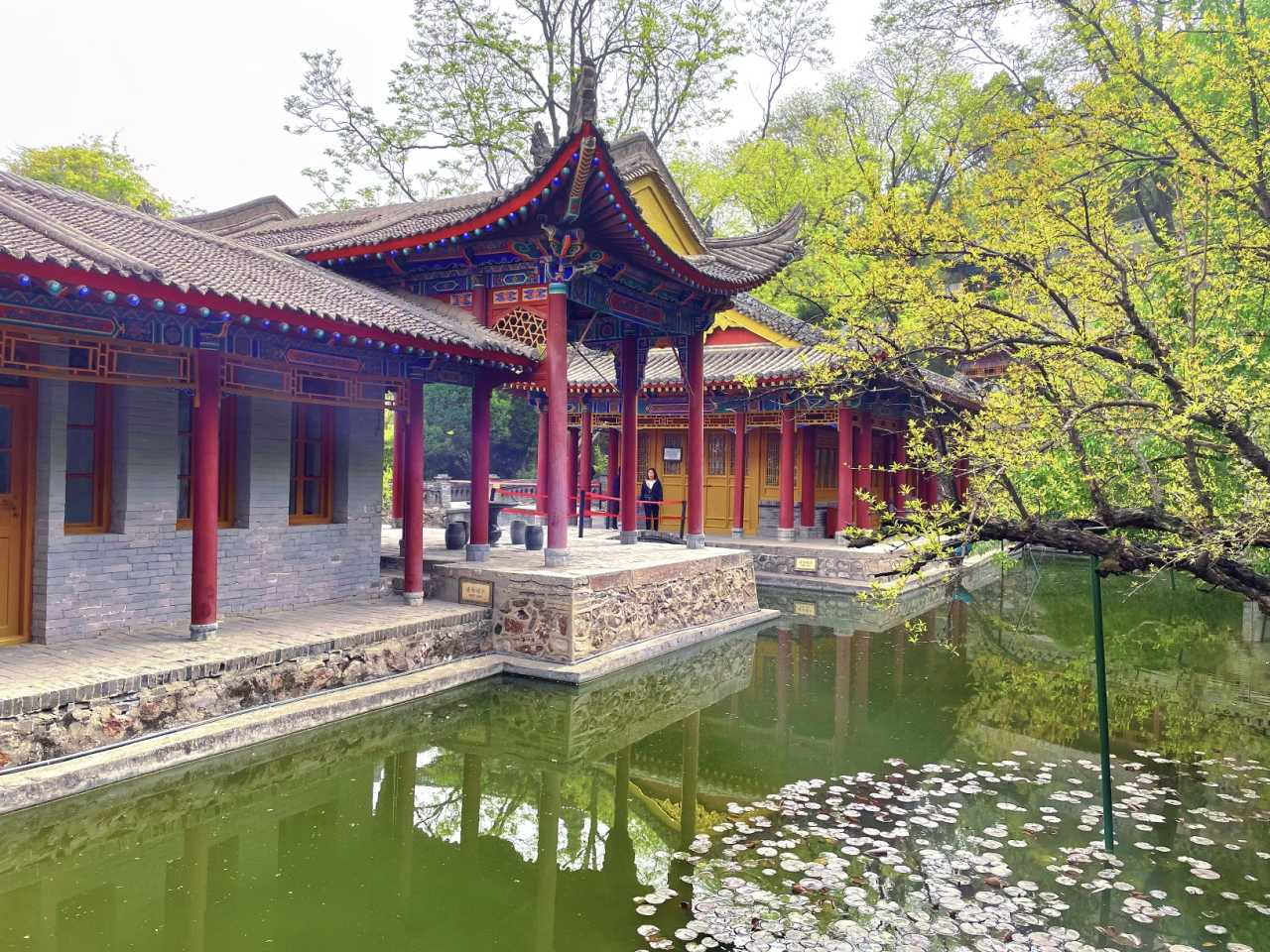 网友实拍打卡：华清池