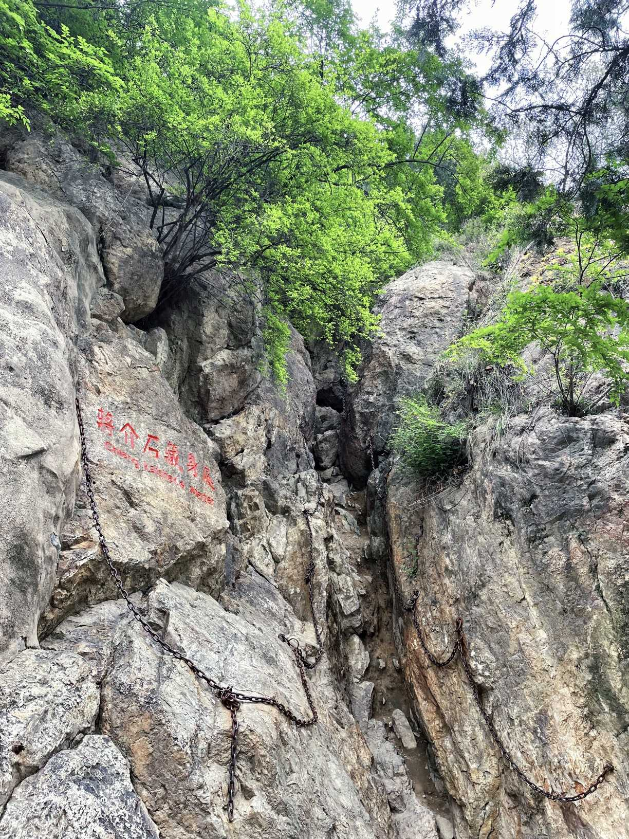 网友实拍打卡：华清池