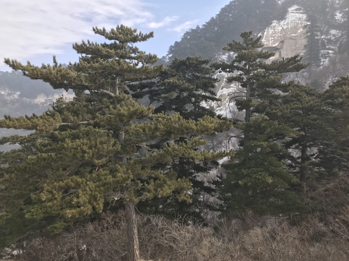 秋冬季7天6晚深度打卡西安美食景点