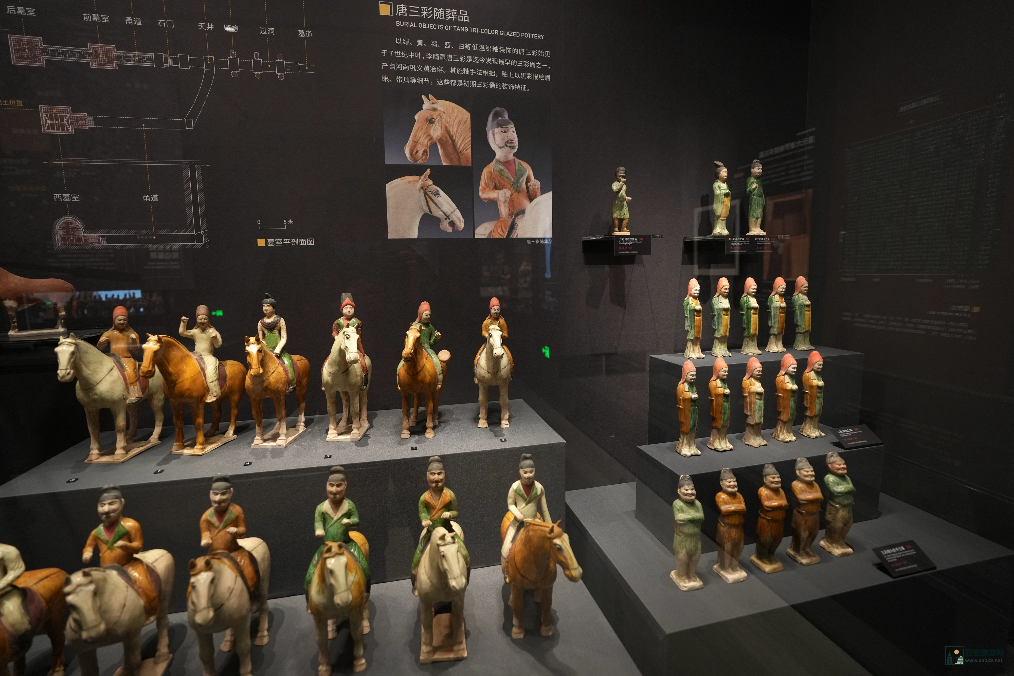 陕西考古博物馆新址：探秘历史与文化的交汇点