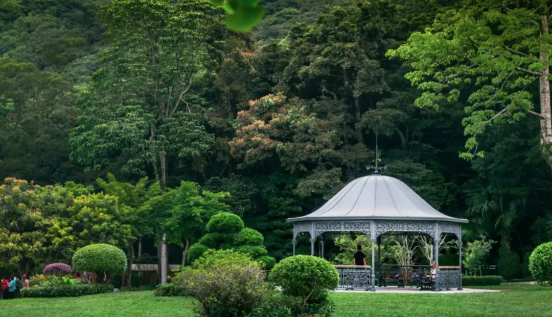 【香港】一站式最全旅游攻略
