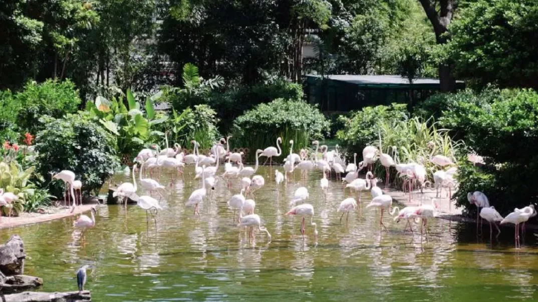 【香港】一站式最全旅游攻略