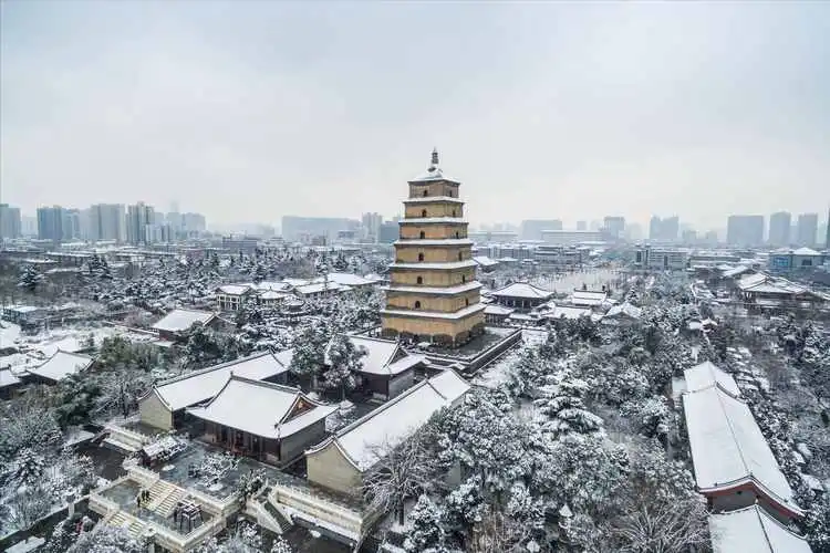 大雁塔游玩全攻略：探秘千年古塔的魅力