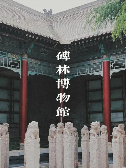 西安碑林博物馆：汇聚千年碑刻，传承中华书法精髓