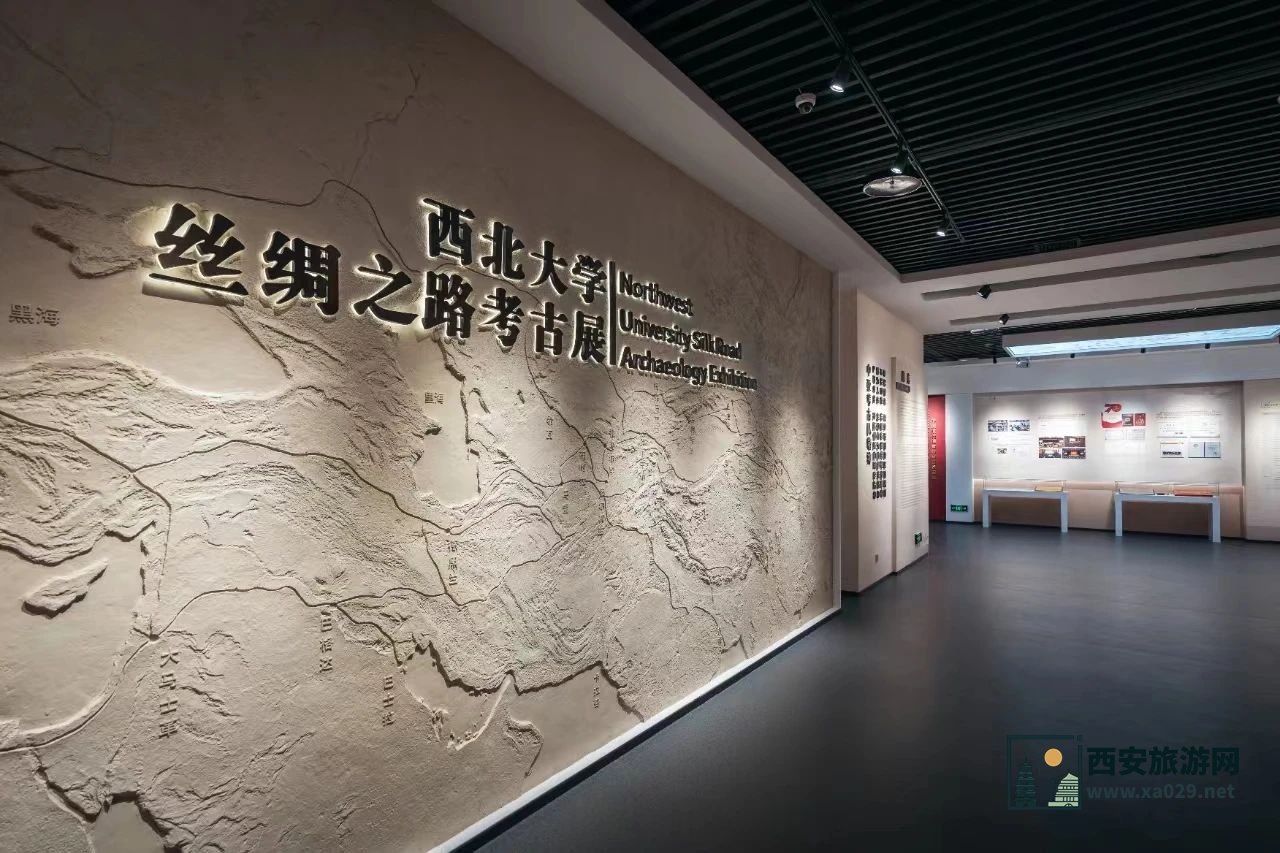 西北大学博物馆丝绸之路考古馆开馆啦！ 顺便还能逛西北大 带孩子研学旅游好去处！