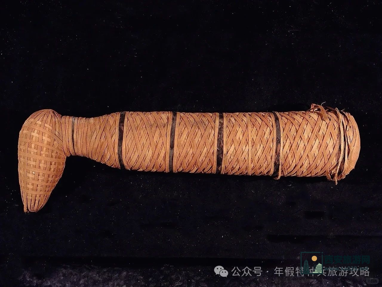 上海博物馆放大招！这是把埃及搬过来了吗！早鸟票120元，限量20万张，展前必看攻略！