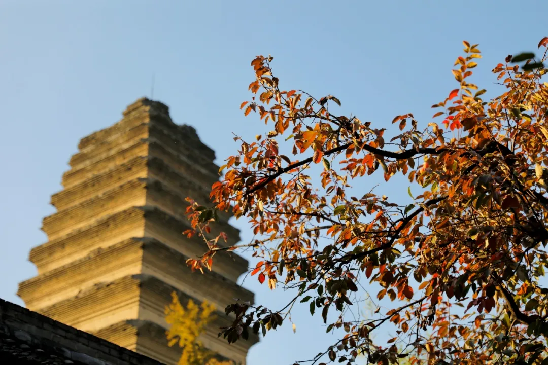 被低估的西安博物院，不仅仅是陕历博“平替”那么简单！