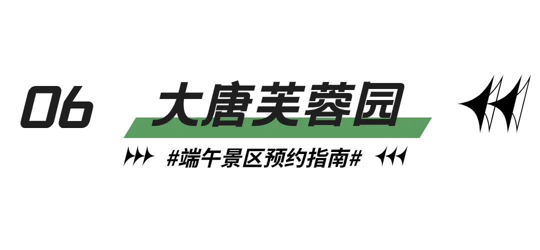 重要！端午来西安，这些景区可以预约了！