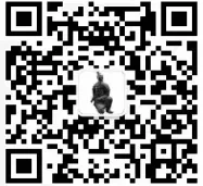 西安旅游之各大博物馆打卡之旅（附预约行程全攻略）