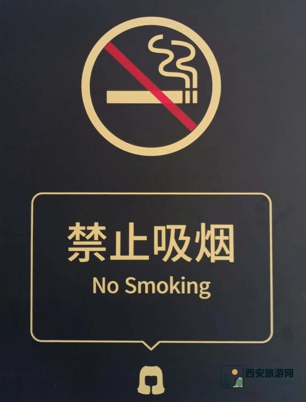 西安旅游之各大博物馆打卡之旅（附预约行程全攻略）