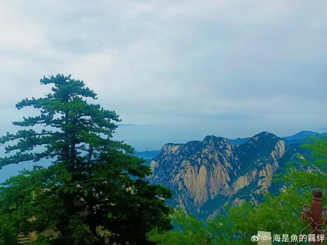 华山海拔2155米：换算成千米是多少？