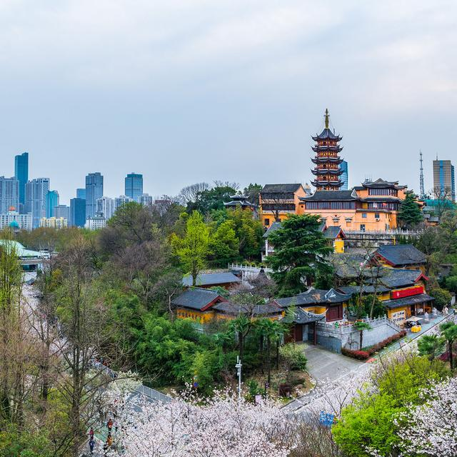 南京二日游全攻略：自助游必备指南，玩转南京不费力