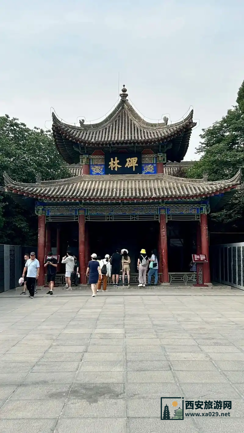 "碑林博物馆周边游玩攻略：不可错过的景点与活动"