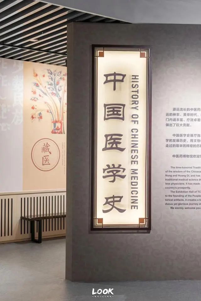 北京中医药大学中医药博物馆 | 北京这座特色博物馆免费开放