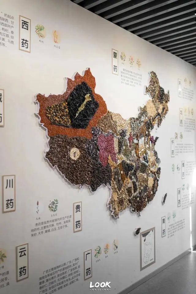 北京中医药大学中医药博物馆 | 北京这座特色博物馆免费开放