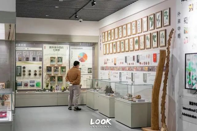 北京中医药大学中医药博物馆 | 北京这座特色博物馆免费开放