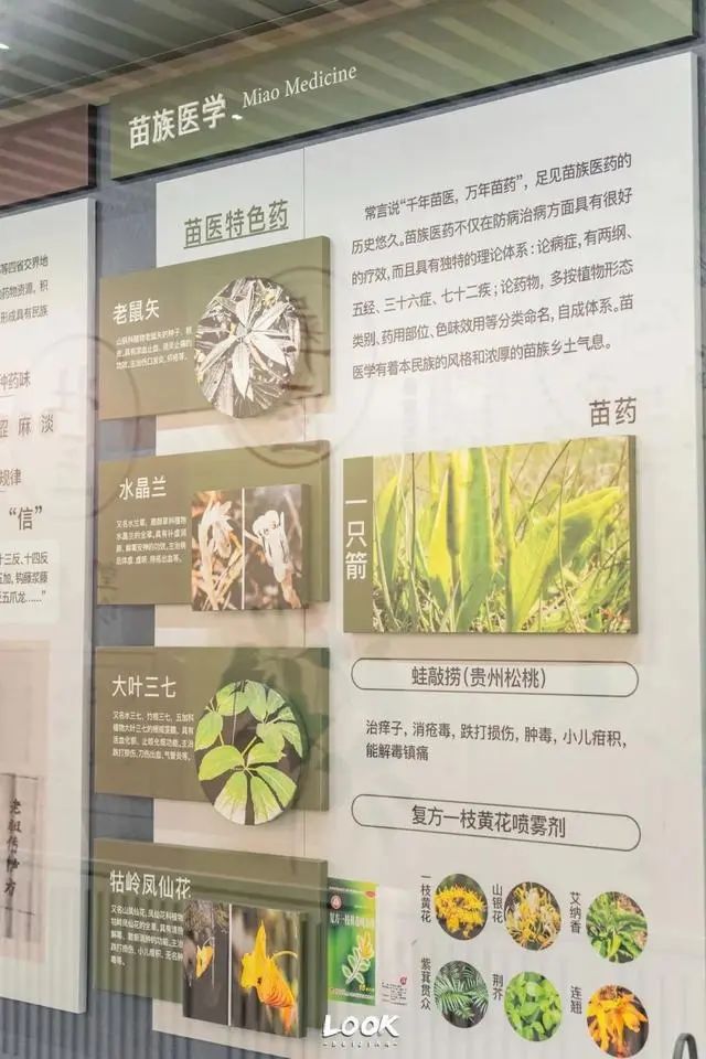 北京中医药大学中医药博物馆 | 北京这座特色博物馆免费开放
