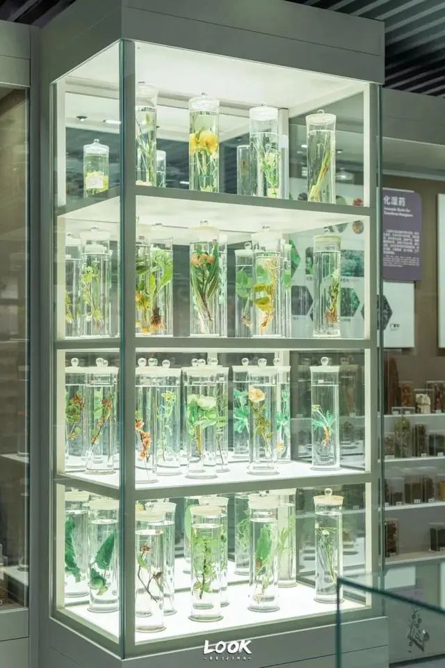 北京中医药大学中医药博物馆 | 北京这座特色博物馆免费开放