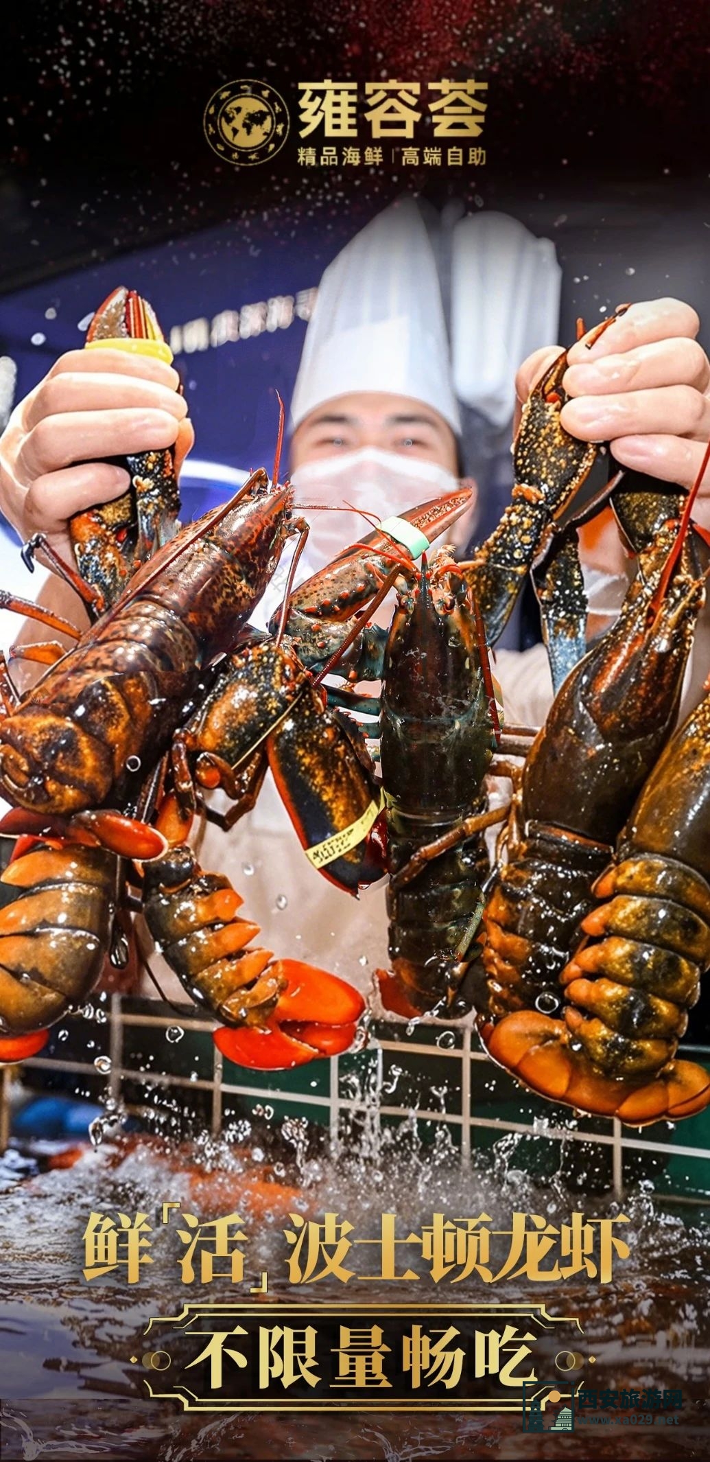 生命之树刷屏西安！怎么逛、啥好吃、领福利？全方面玩转攻略来了！