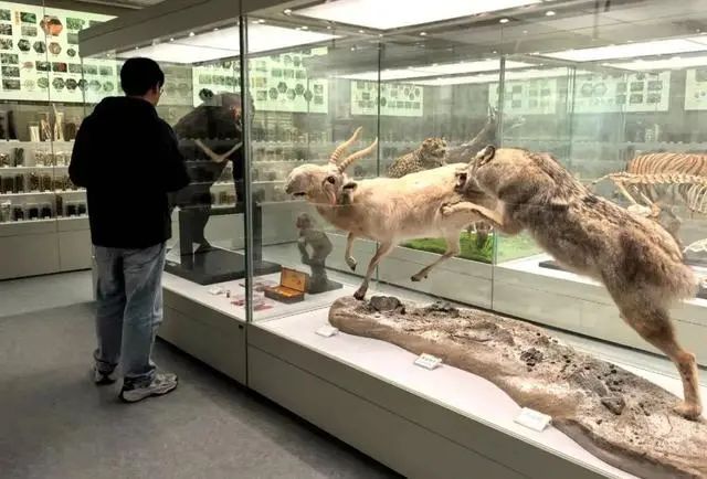 北京中医药大学中医药博物馆 | 北京这座特色博物馆免费开放